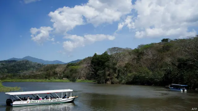 Este año han abundado los niveles de agua.