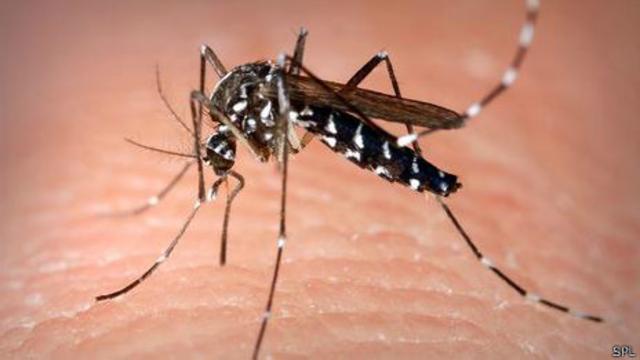 Uma das alternativas estudadas é infectar pacientes com doenças tropicais, como a dengue
