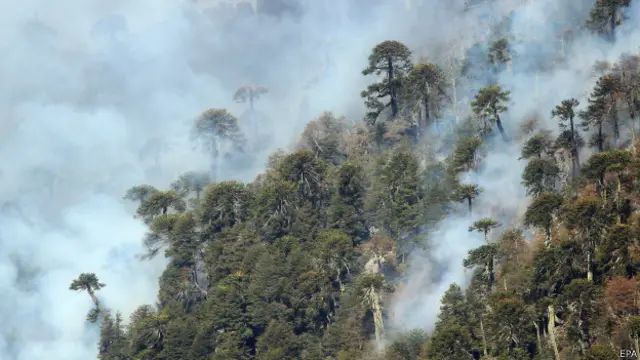 Incendio en Chile