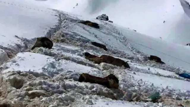 2011'de savaş uçaklarının kaçakçılık için köy kırsalından Irak'a geçenleri hedef alan saldırısında 17'si çocuk 34 kişi hayatını kaybetmişti.