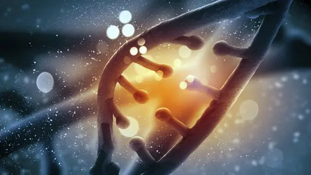 ဒီအင်န်အေ မော်လီကျူးက မကြာခဏ ပျက်စီးနိုင်ပြီး ဆဲလ်တွေက စောင့်ကြည့် ပြုပြင်ပေးရ။