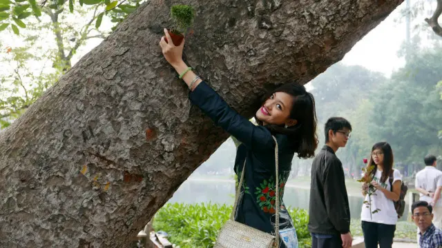 Cây xanh Hà Nội 