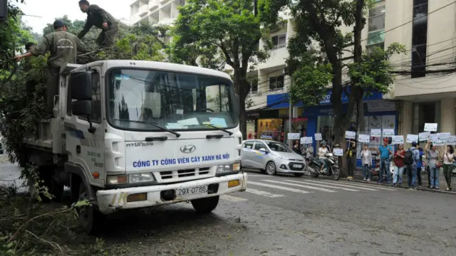 Người dân Hà Nội phản đối việc chặt hạ cây xanh
