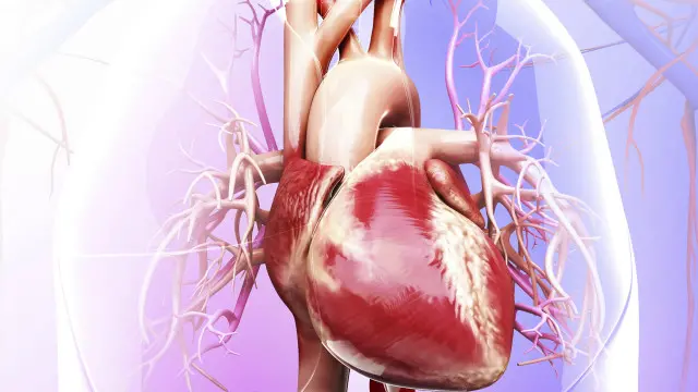 بین الاقوامی ریسرچ ٹیم کا کہنا ہے کہ صحت جاننے کے لیے ہاتھ کی گرفت ایک سادہ اور سستا طریقہ ہے