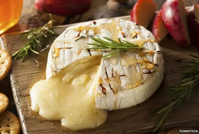 Camembert
