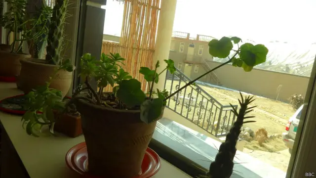 د بامیانو مرستیال والي اصف مبلغ وايي، که دا حال و په دغه ولایت کې به پانګونه هم کمه او راټیټه شي