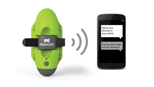 Yaşıl Moocall - Designs of the Year 2015 müsabiqəsinin finalçısı