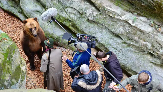 "Урсус. Кавказький бурий ведмідь"