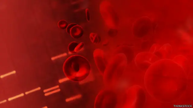 Villeda cree que hay algo en la sangre joven que provoca una mayor actividad en las celulas madre.