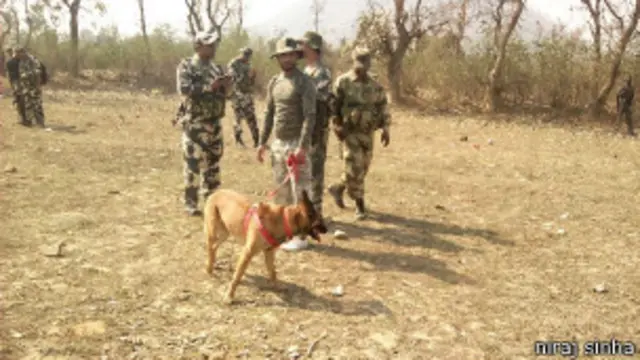 झारखंड-नीरज सिन्हा