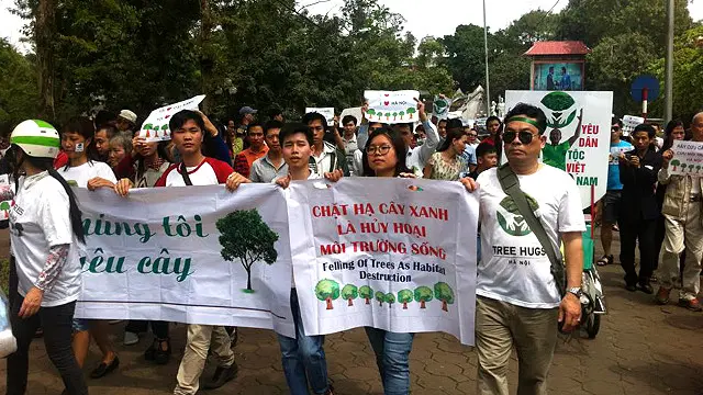 Cây xanh Hà Nội