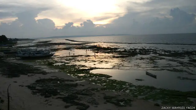 12. Menikmati laut surut saat senja di Pantai Kelapa Lima, Kupang, Nusa Tenggara Timur. Foto kiriman Zacky Wahyudi Fagih dari Radio DMWS.