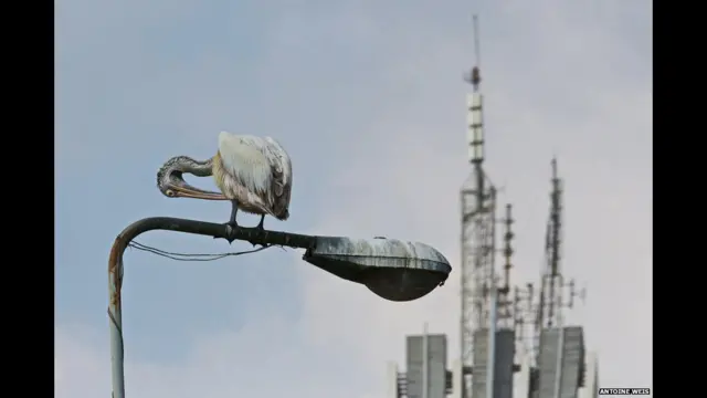 2015 Sony World Photography Awards