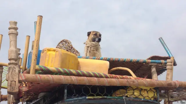 شمالی وزیرستان سے تقریباً دس لاکھ متاثرین نقل مکانی کر کے ملک کے مختلف علاقوں میں پناہ لیے ہوئے ہیں۔