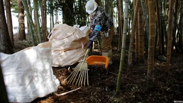 परमाणु विकिरण से प्रभावित फुकुशिमा, Radioactive Fukushima