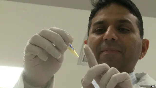 ڈاکٹر نوید کی ٹیم یہ راز معلوم کرنے میں کامیاب ہوگئی کہ کاکروچ کا مدافعاتی نظام مضبوط کیوں ہے؟