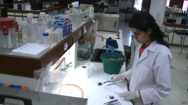 مالیکیول کے شناخت اور کیمیل کی تیاری کے بعد اس کا جانوروں اور بعد میں کسی رضاکار پر آزمایا جائے گا اس پورے مرحلے میں ابھی کم سے کم بھی دس سال کے عرصہ درکار ہے