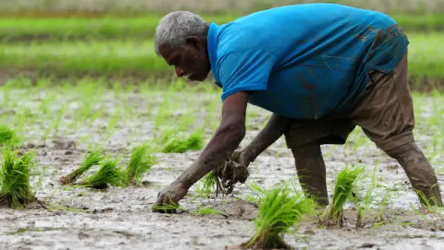 'හුඟක් විද්යාඥයන්ගේ අදහස තියෙන්නේ මේක සාමාන්යයෙන් ගොවියන් අතර තියෙන ලෙඩක් කියල. නමුත් ඒක ගොවියන්ට පමණක් තියෙන දෙයක් නෙවෙයි'