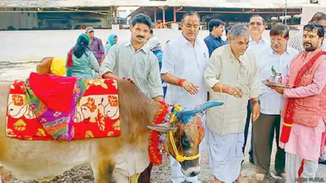 भारत, गाय