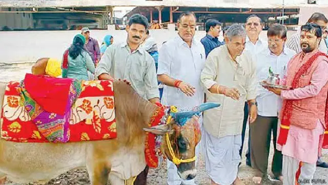 ہندو مذہب میں گائے کو مقدس سمجھا جاتا ہے