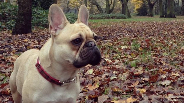 تتوقف عن الاستجابة لأناس أثبتوا أنهم غير جديرين بالثقة