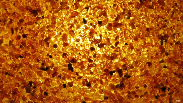 Литовский янтарь