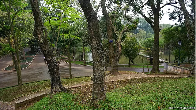 Cây xanh Hà Nội