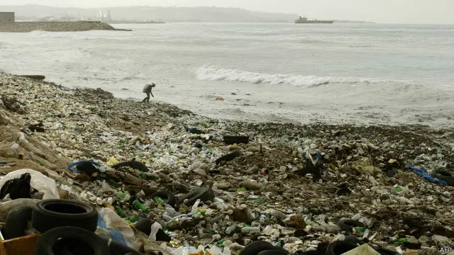 مچھلیوں، پرندوں، کچھوؤں اور وہیل مچھلیوں کے معدوں سے پلاسٹک کے ٹکڑے برآمد ہوئے ہیں