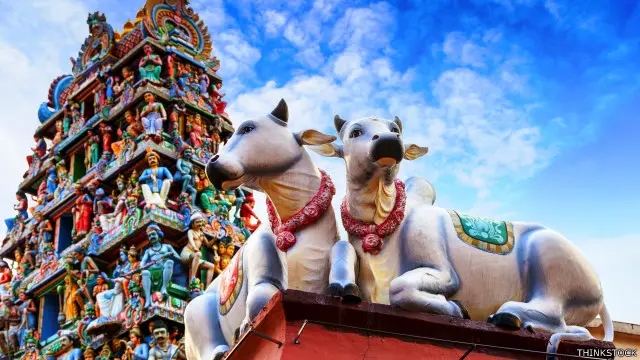 ڈی این جھا کا کہنا ہے کہ گائے کے لیے مخصو مندر نہیں اب کوئی بنالے تو کیا کہا جائے یہاں تو فلمی سٹار کے بھی مندر ہیں