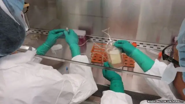 为患者准备有针对性的癌症“个性化”疫苗