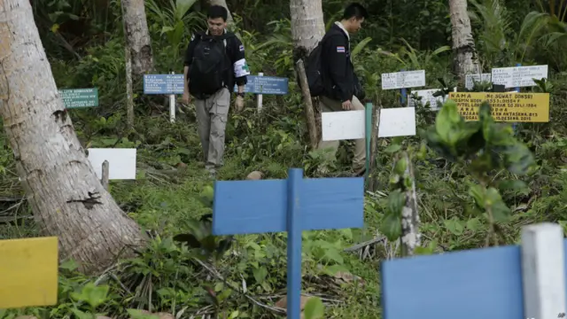 penyeledik dari thailand