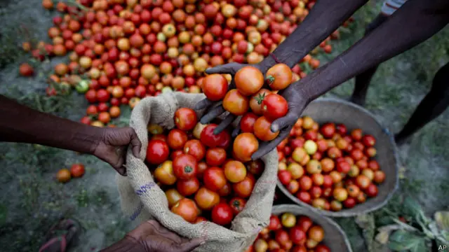 फ़ाइल फोटो