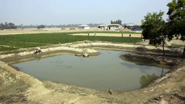 फ़ाइल फोटो