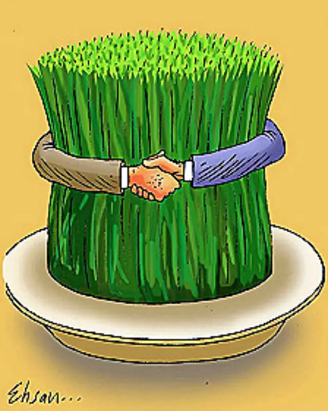 کارتون احسان گنجی، بی قانون