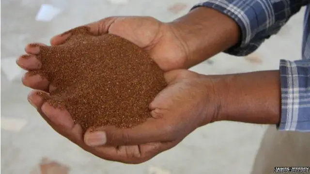 Los granos de teff son tan pequeños como las semillas de amapola.