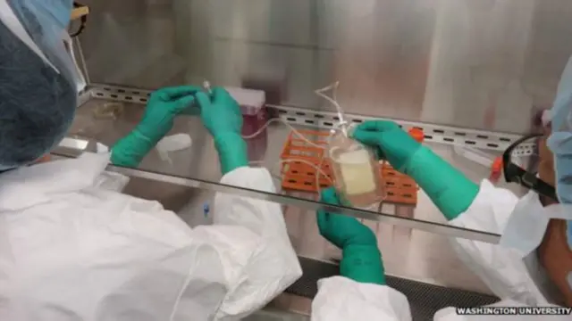 Tədqiqatçılar vaksin hazırlayırlar.