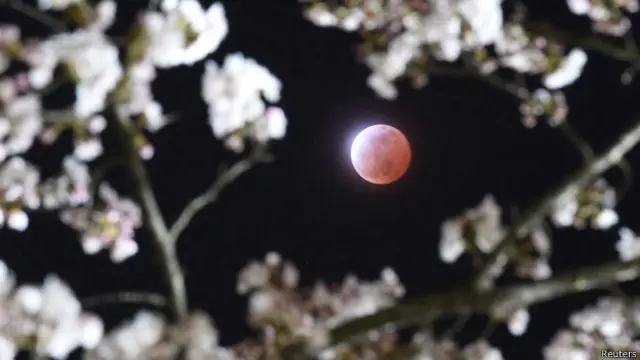 luna sangre, eclipse