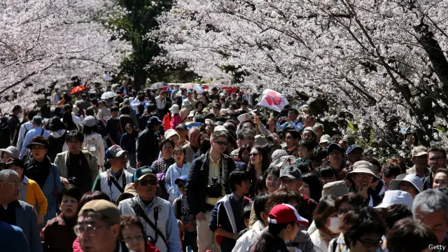 日本赏樱花的游客