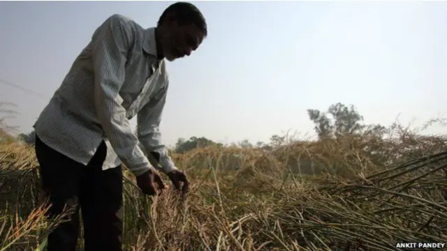 यूपी का किसान