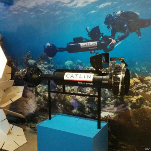 terumbu karang, natural history museum