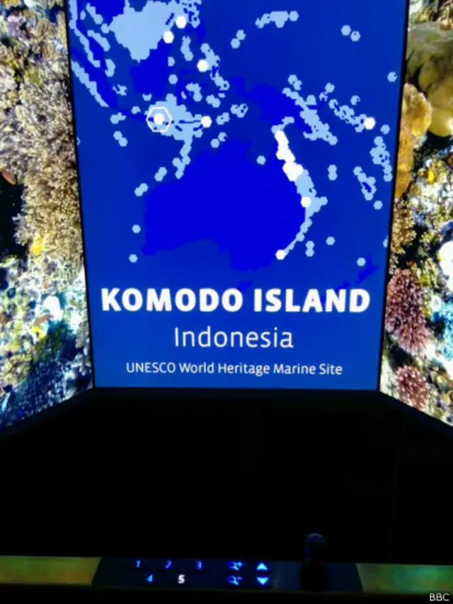 terumbu karang, natural history museum