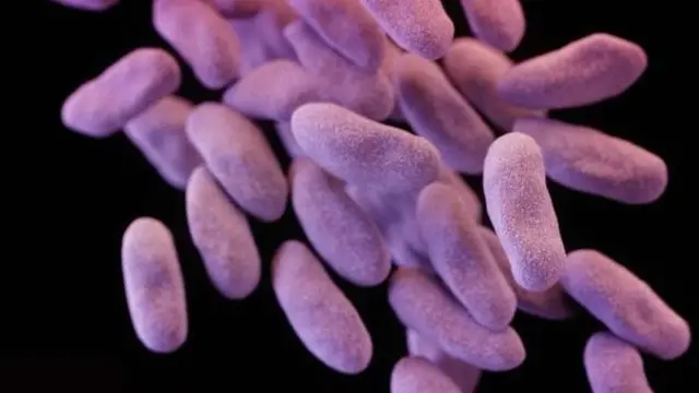 اینٹی بائیوٹکس کے خلاف مزاحمت سے بیماری طوالت پکڑے گی اور لوگ قبل از وقت مر جائیں گے 