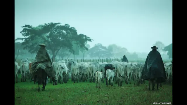 Пастухи на тлі краєвиду у Бразилії