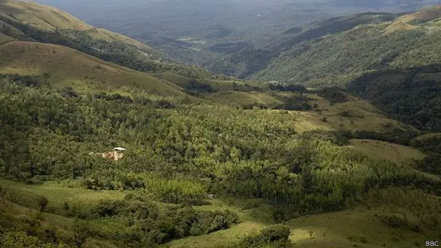 पश्चिमी घाट (फ़ाइल फोटो)