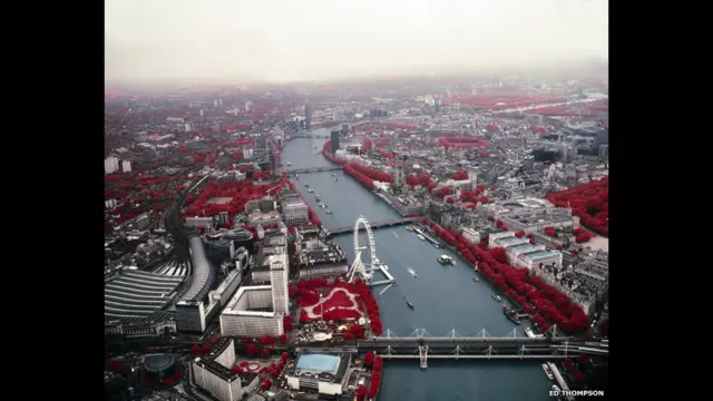 Фото Еда Томпсона