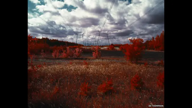 Фото Еда Томпсона