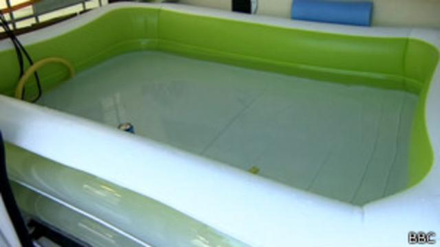 Los baños de hielo son útiles para reparar y desarrollar músculo? Una  investigación lo revela - SinEmbargo MX
