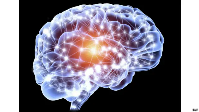 Para pesquisadores, cérebro pode ter uma capacidade de quadrilhões de bytes