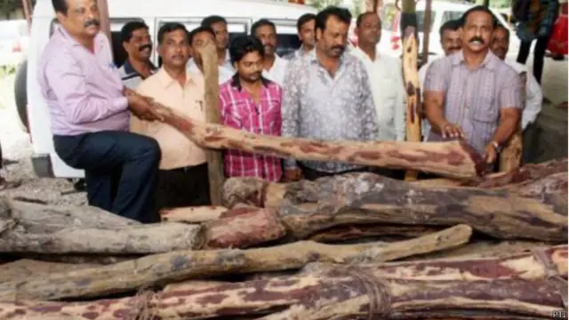 लाल चंदन