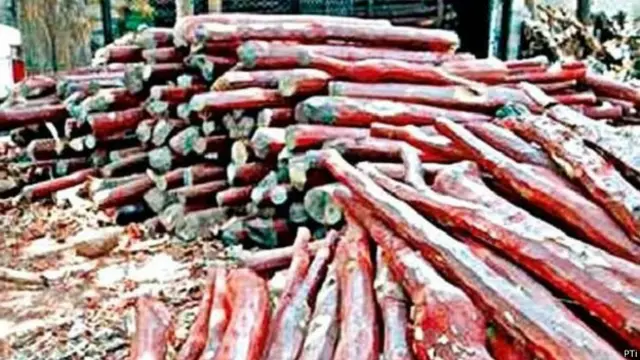 लाल चंदन